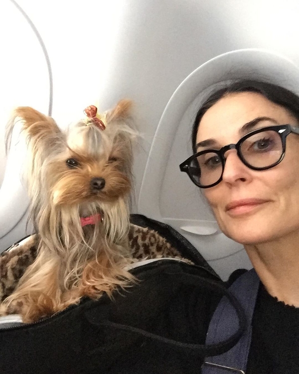 Наряд - огонь: Деми Мур похвасталась платьем от украинского дизайнера