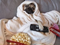 Как побороть лень и заставить себя работать: 6 полезных лайфхаков