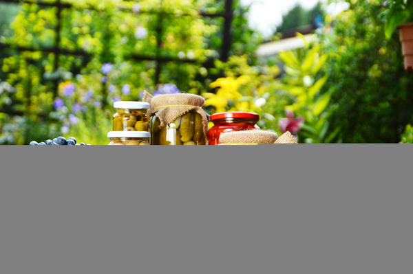 Вредна ли консервация