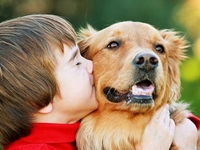 Уши, лапы и хвост: что должны помнить родители, если в доме живет питомец?