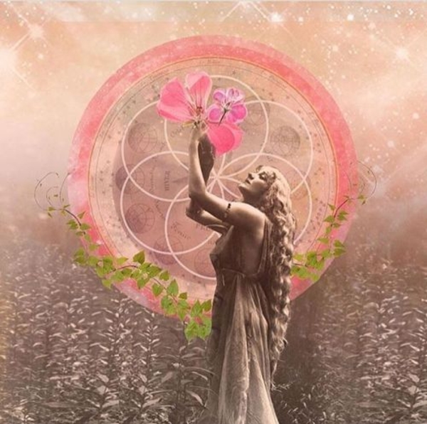 Полнолуние и Новолуние в ноябре 2019 года: даты и астрологический прогноз