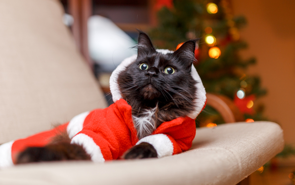 Британцы составили рейтинг самых раздражающих рождественских песен