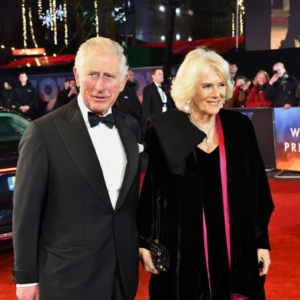 Принц Чарльз и его супруга Камилла представили рождественскую открытку