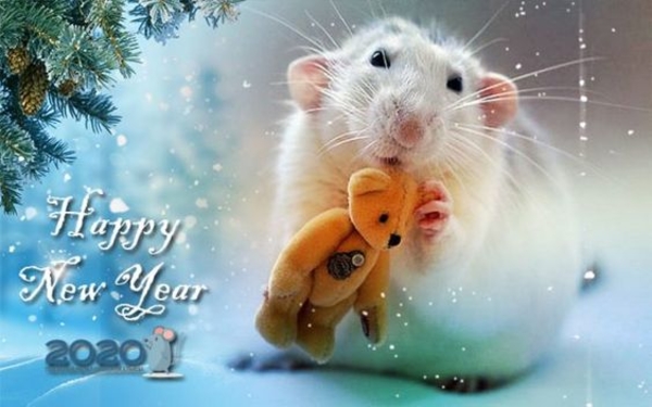 Поздравления с Новым годом 2020 Белой Крысы