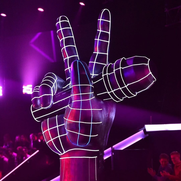 Две влюбленные пары?: "Голос країни" удивил тренерским составом