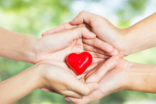 Тест: Благотворительность и мошенники. Все ли вы об этом знаете?