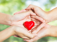 Тест: Благотворительность и мошенники. Все ли вы об этом знаете?