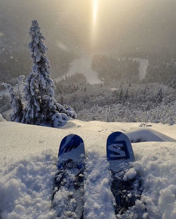 Гороскоп на 26 января 2020 для всех знаков Зодиака