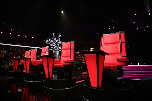 ТОП-5 звезд, которых зажег "Голос країни"