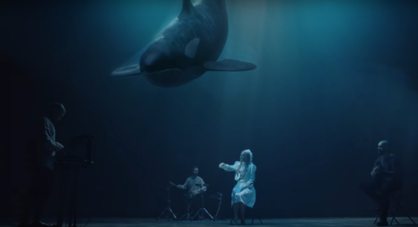 Группа The Hardkiss выпустила завораживающий клип на песню "Косатка" - видео