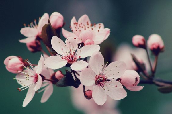 Выходные и праздничные дни в марте 2020