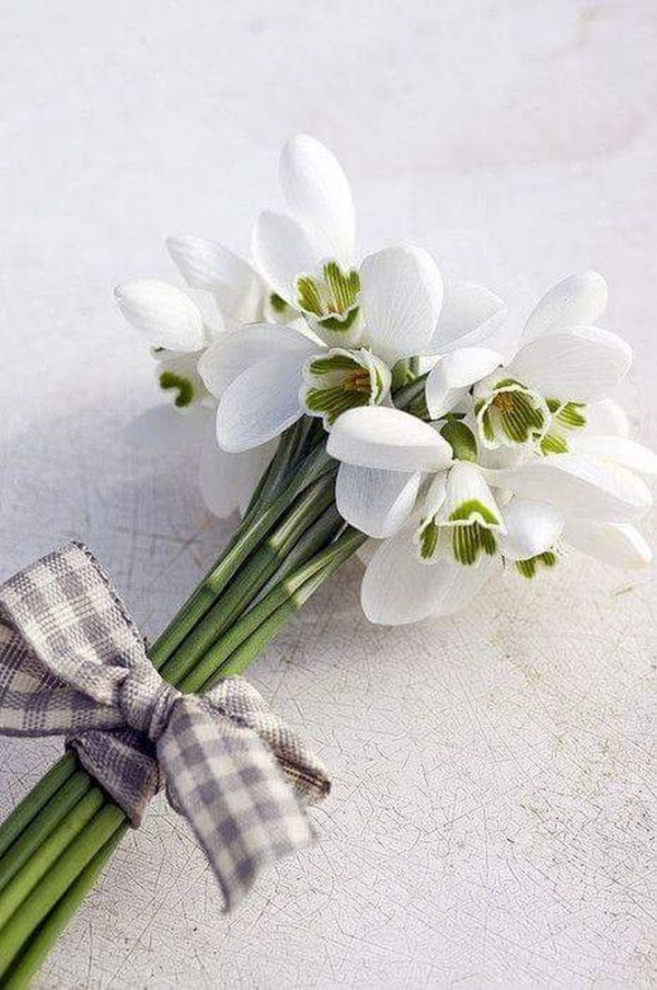 Гороскоп на 5 марта 2020 для всех знаков Зодиака