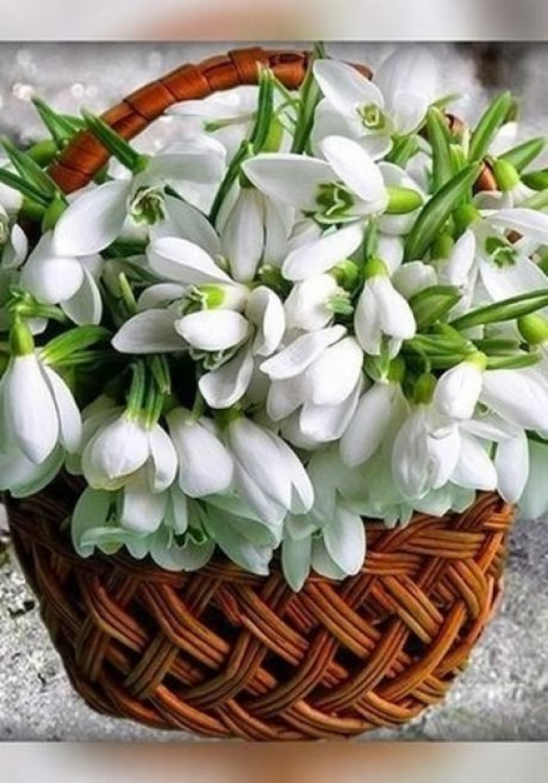 Гороскоп на 7 марта 2020 для всех Знаков зодиака