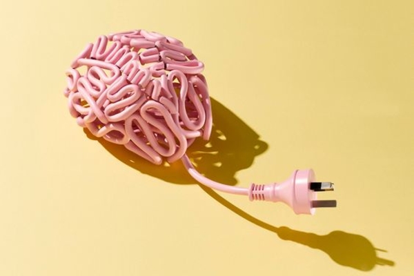 Учебный год 2019/20 в условиях карантина: Как это будет? (полная информация)