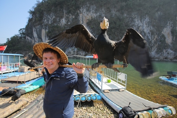 Китайцы добывают улов при помощи бакланов: Комаров отправится на экзотическую рыбалку