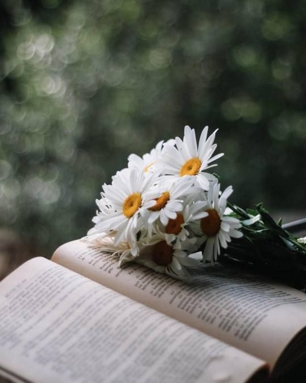 Гороскоп на 2 мая 2020 для всех знаков Зодиака