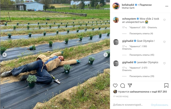 "Неожиданный поворот": Супермодель Белла Хадид занялась сельским хозяйством