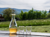 Домашняя медовуха: рецепт без дрожжей