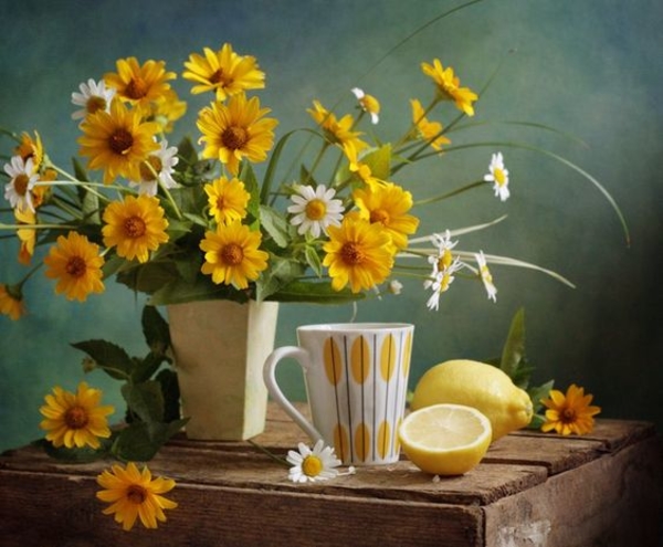 Первый месяц лета: Сколько выходных и праздничных дней будет в июне 2020