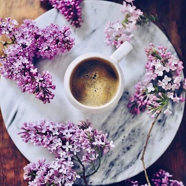 Гороскоп на 1 июня 2020 для всех знаков Зодиака