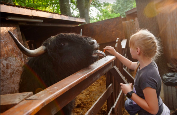 Все летние развлечения в одном месте: где отдохнуть на ВДНГ