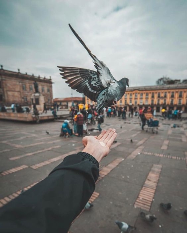 День Святого Духа 2020: заговоры и обряды