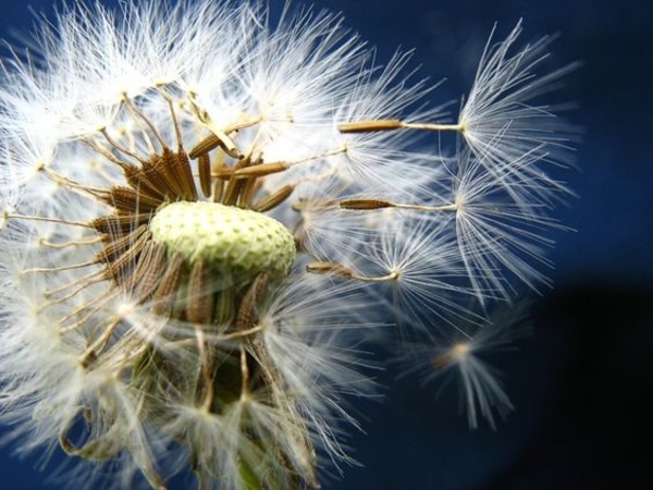 Запреты дня 16 июня 2020: Чего категорически нельзя делать на Лукьяна-ветряка