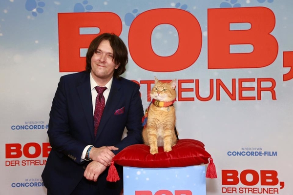 В Великобритании умер знаменитый уличный кот по кличке Боб