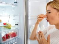 Как устранить неприятный запах из холодильника? 10 полезных советов
