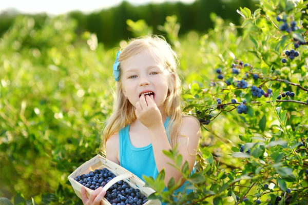 Запреты дня 22 июля 2020: Чего категорически нельзя делать на Кирилла Черничного
