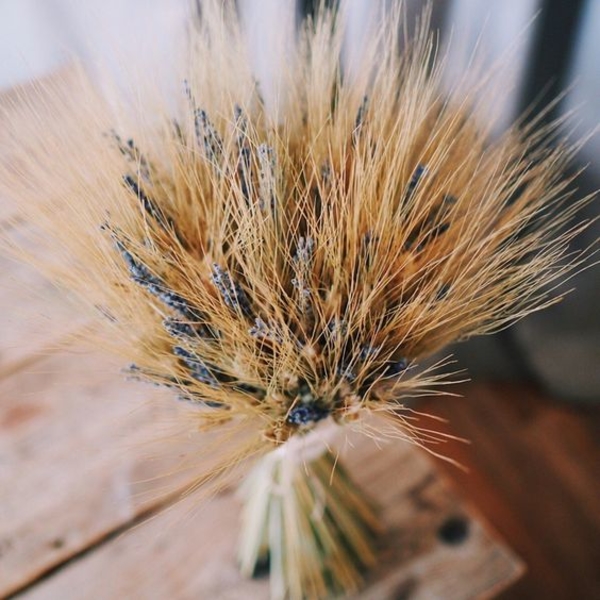 Запреты дня 29 июля 2020: Чего категорически нельзя делать на Финогея