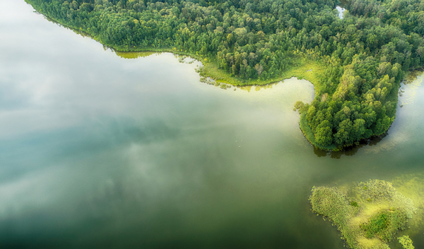 День пророка Ильи 2 августа 2021: Приметы, традиции, запреты