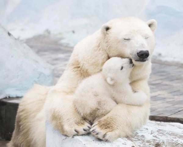 День левши: 10 интересных фактов про левшей