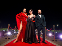 "Супер Топ-модели по-украински": Когда состоится премьера Суперсезона