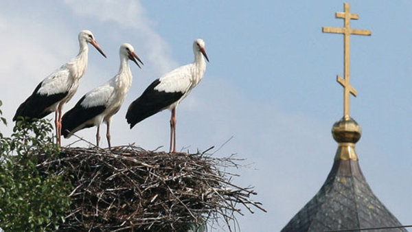 Запреты дня 20 августа 2020 года: что нельзя делать на Марины-Пимены