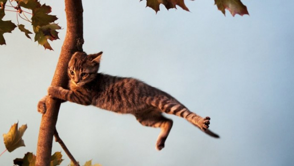 Запреты дня 21 августа 2020 года: чего категорически нельзя делать на Мирона-Ветрогона