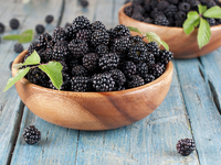 Что приготовить с ежевикой: Советы от ведущей "Ревизора" Юлии Панковой