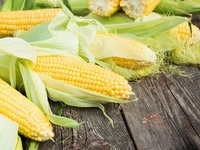 Как заморозить кукурузу на зиму?