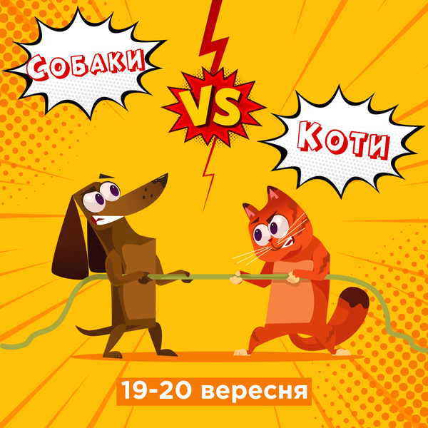 Коты против собак: на «Дарынке» пройдет веселое соревнование