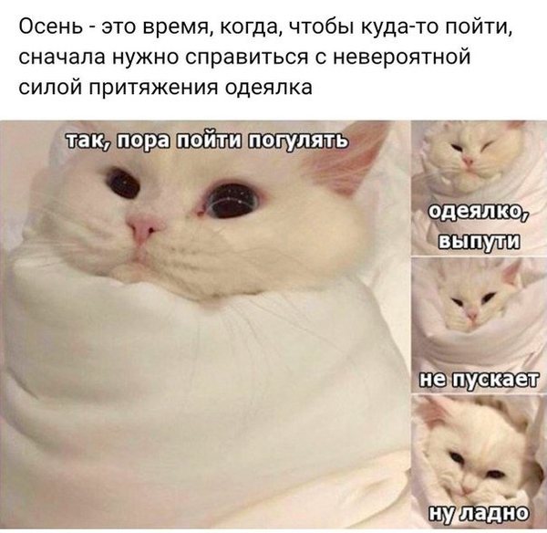 "Не кисни!": Смешные картинки про осеннюю хандру