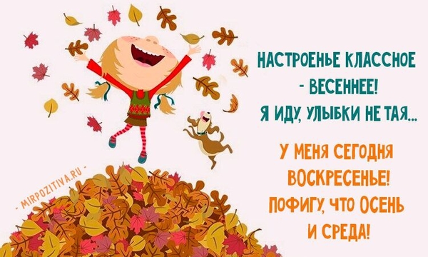 "Не кисни!": Смешные картинки про осеннюю хандру