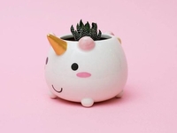 Лунный календарь для комнатных растений на октябрь 2020