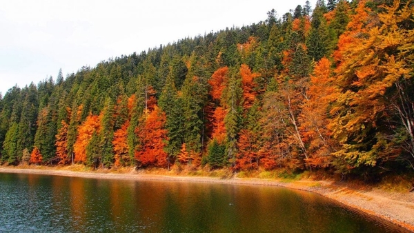 Осенние Карпаты очень полезны: ТОП-3 санатория Прикарпатья
