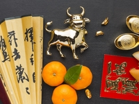 Гороскоп на 2021 год для всех знаков Зодиака по восточному календарю