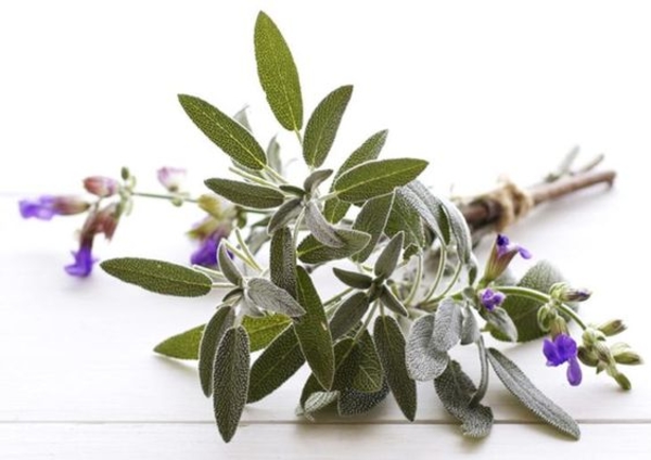 Назван напиток, который улучшает настроение и защищает от рака