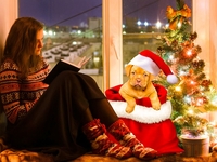 Будьте на чеку: чем опасны гирлянды и елки для домашних питомцев