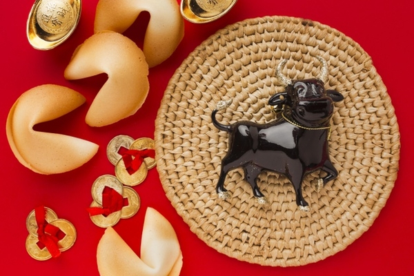 Новогодние украшения: Что повесить на удачу?