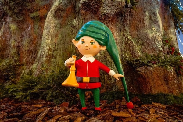 Самые яркие зимние локации Киева