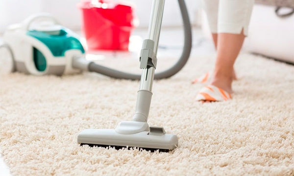 Какой пылесос выбрать: моющий или обычный?