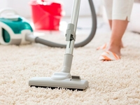 Какой пылесос выбрать: моющий или обычный?